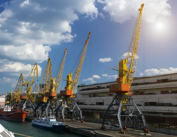 海ポート ターミナル コンテナー港で貨物船を持ち上げるクレーン — ストック写真