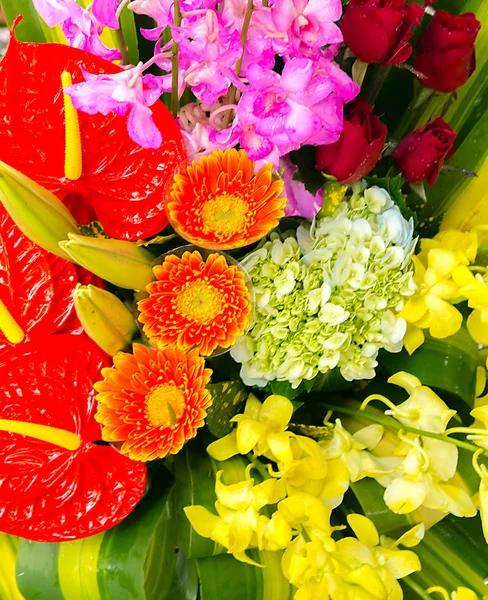 Bos Van Bloemen Calla Lelie Achtergronden Natuur Pasen Voorjaar Bloem — Stockfoto