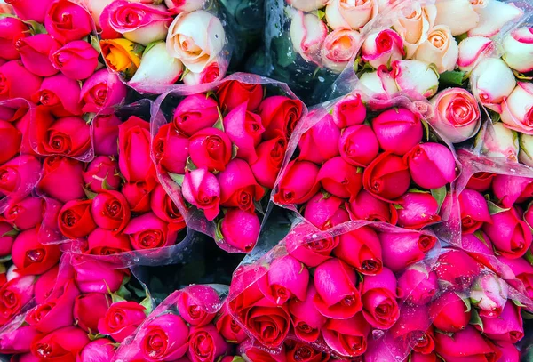 Bunch Coral Bouquet Red Pink Roses Backgrounds Nature Easter Spring — Stock Photo, Image