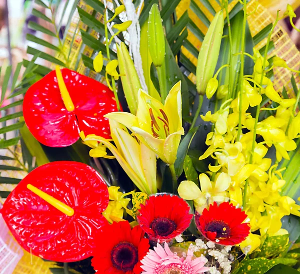 Bos Bloemen Kleurrijke Calla Lelie Achtergronden Natuur Pasen Lentebloemen Abstracte — Stockfoto