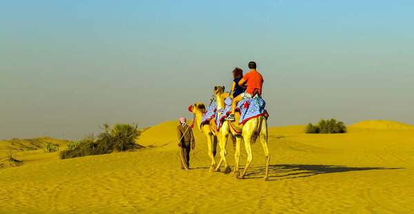 Туристические верблюды сафари песчаные дюны на пустынных аттракционах. Песчаные дюны ОАЭ, Дубай
