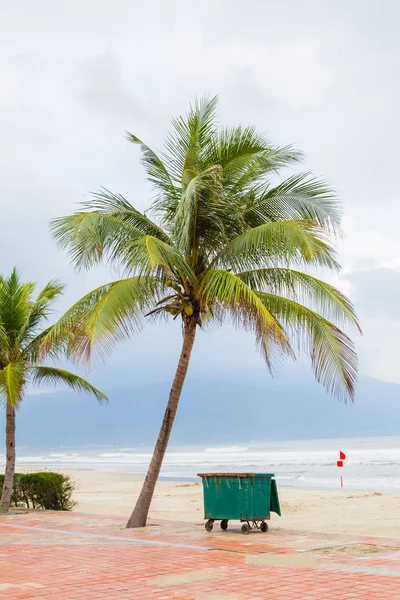Danang Sand Beach Thrash Recycling Can Garbage Container Coconut Palm — Stock Photo, Image