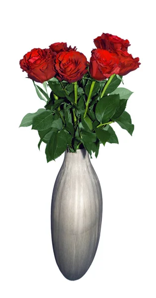 Όμορφο Μπουκέτο Κόκκινο Τριαντάφυλλο Γλάστρα Που Απομονώνονται Λευκό Φόντο — Φωτογραφία Αρχείου