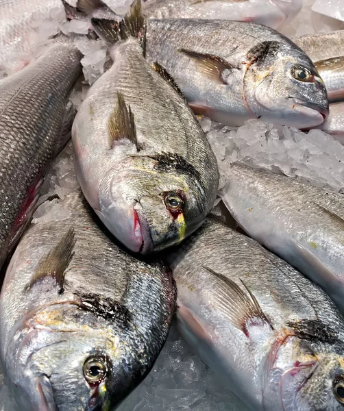 Fischdorado Fische Auf Dem Eisfischmarkt Mercat Boqueria Barcelona — Stockfoto