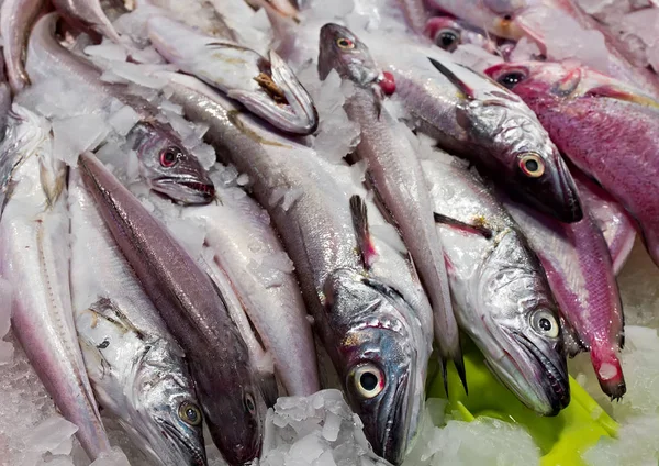 Scabbard Preto Peixe Fresco Espada Pilha Gelo Restaurante Frutos Mar — Fotografia de Stock