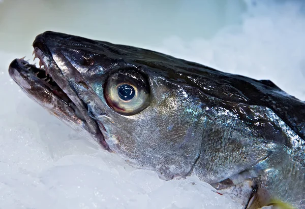 Roher Fisch Schwarze Scheide Draufsicht Haufen Eis Meeresfrüchte Restaurant — Stockfoto