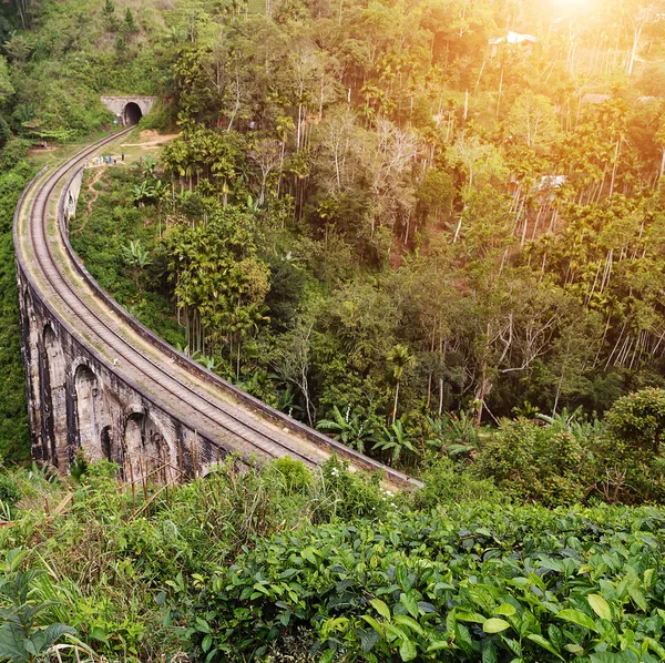 Palmenlandschaft Bogen Brücke Demodara Ella Eisenbahnen Sri Lanka Mountain — Stockfoto
