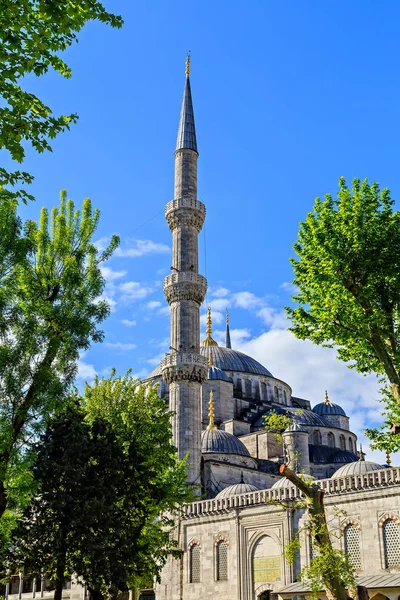Sultan Ahmet veya Sultanahmet Camii Simgesel Yapı, Osmanlı mimari Istanbul, Türkiye. Cami minarelerinin. Bahar doğa sahne, dış Sultan Ahmed Camii.