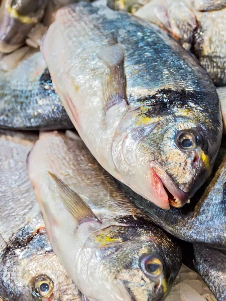 Fish Dorado ice fish market — Stock Photo, Image