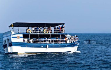 Mirissa Balina Tekne Turlarını İzliyor