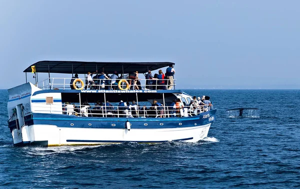 Mirissa Balina Tekne Turlarını İzliyor — Stok fotoğraf