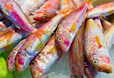 Çiğ balık pazarında deniz ürünleri