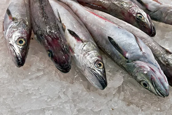 Seafood fish market Mercat de la Boqueria — Stock Photo, Image
