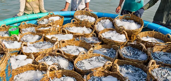 catch of fish ice in basket Vietnamese fishing village Vietnam