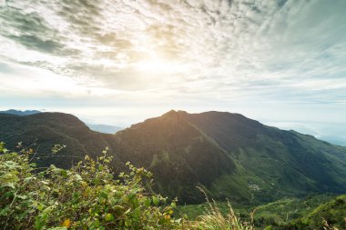Sri Lanka Plains'de Horton dünyalar sonunda popüler turistik