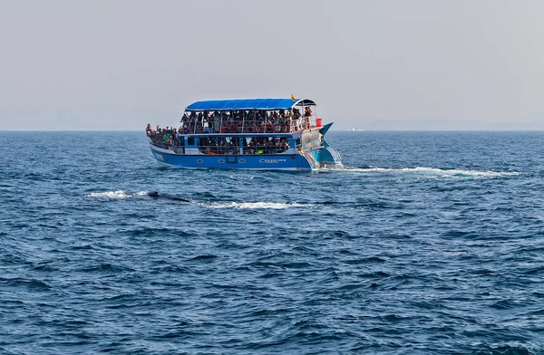 Mirissa Whale Watching Vessel Boat Tours — Stock Photo, Image