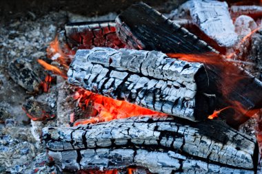 Yanan odun kamp ateşi.