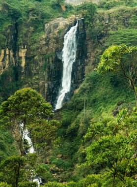 kayalık dağlar berrak su derin orman şelale