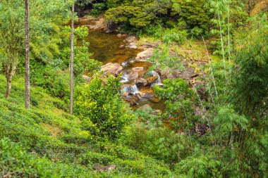 Şelaleli dağ manzarası
