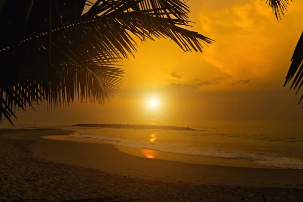 丛林海滩夏季炎热自然热带背景 — 图库照片