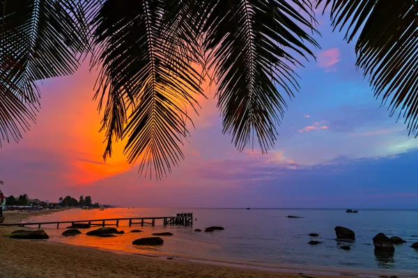 Пляж Палм, Мальдивские острова, силуэты пальм на закате — стоковое фото
