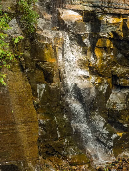 Wasserfall Stein grünes Moos Regenwald — Stockfoto