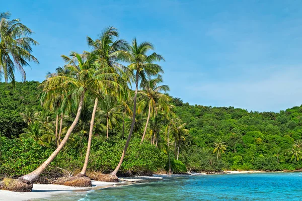 Beach island Summer Hot Nature tropical background — Stock Photo, Image
