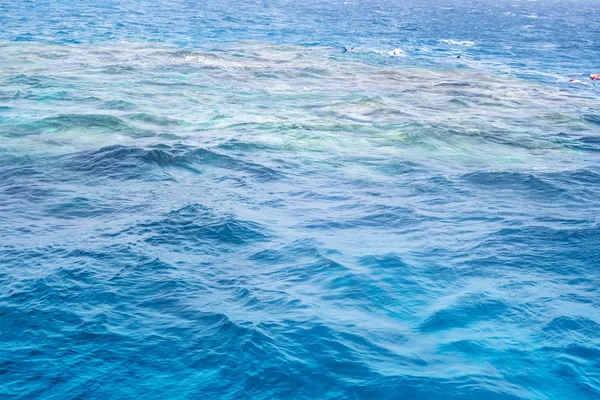 Ilha Branca África Egito Snorkeling barco viagem fundo de água . — Fotografia de Stock