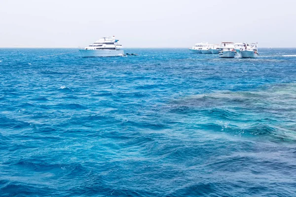 White Island Ras Mohamed National Park Red sea. Seashore Sharm e — Stock Photo, Image