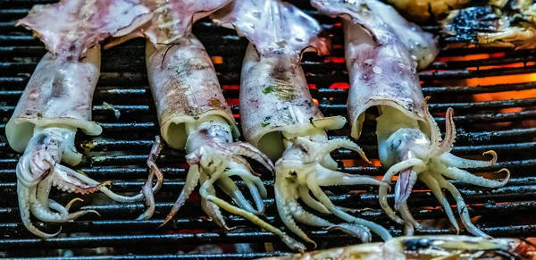 Calmar poulpe cuisson grill — Photo