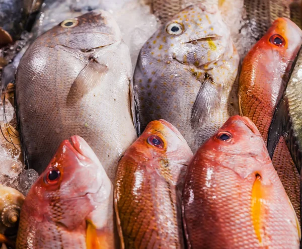 Meeresfrüchte Mix Fischmarkt Hintergrund — Stockfoto