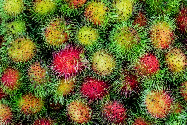 Árbol frutal de rambután — Foto de Stock