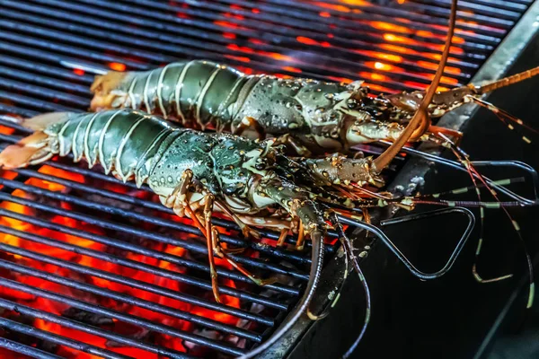 龙虾烤炉蒸火焰火热的食物背景 — 图库照片