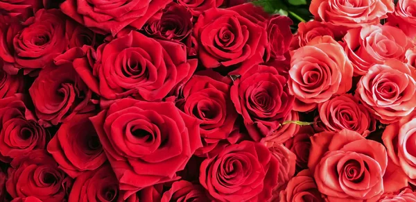 Ramo de rosas rojas fondo Día de San Valentín —  Fotos de Stock