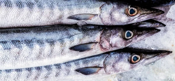 Frutti di mare Pesca fresca cruda — Foto Stock