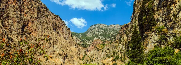 Tepeli yeşil yaz manzarası — Stok fotoğraf