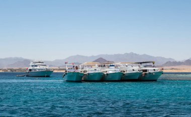 Beyaz yatlar, Sha yakınlarındaki Tiran Körfezi 'nde turistler.