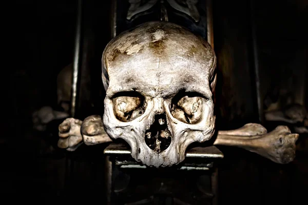 Selective focus Skeleton spooky skull background. Day of the Dea — ストック写真