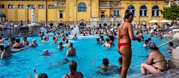 Baroque-style mineral springs Szechenyi Spa world-famous thermal — Stock Photo, Image