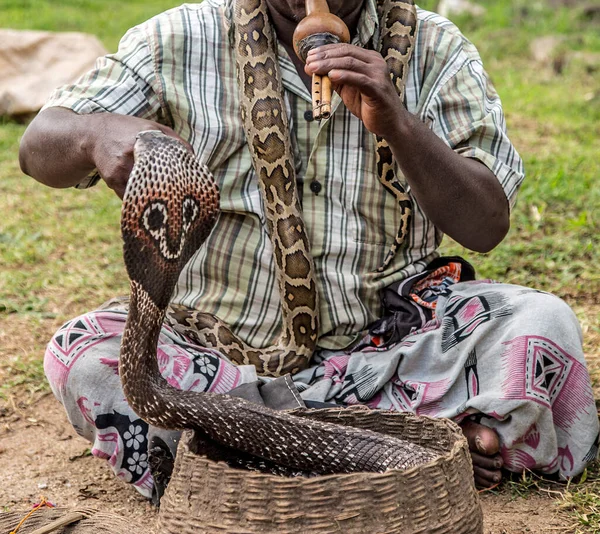 Факир Индийский Заклинатель Змей Танцевальная Флейта Кобры Змеи — стоковое фото