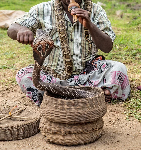 Fakir Man Snake Charmer Playing Live King Cobra Snake Naja — Stock Photo, Image