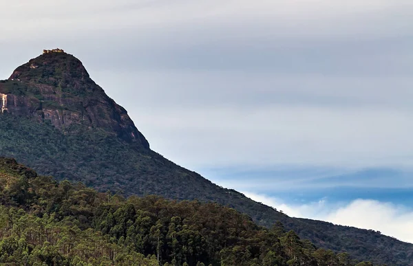 Soluppgång Över Adams Topp Sri Lanka Berg Dimman Utsikt Från — Stockfoto