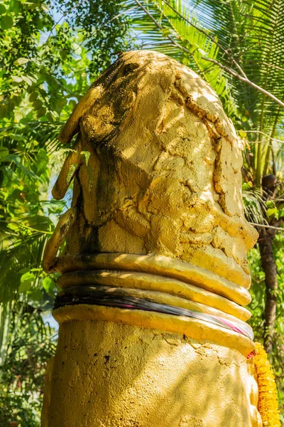Símbolos Fálicos Decorados Pênis Escultura Falo Dourado Ilha Koh Samui — Fotografia de Stock