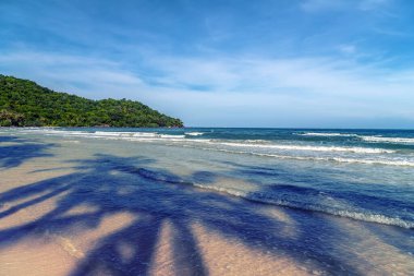Mavi gökyüzü ve palmiye ağaçları tropikal plaj ve yaz manzaralı. Hindistan cevizi palmiyesi gölgeleri.