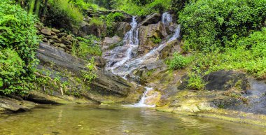 Ormanda şelale şelalesi tropikal yağmur ormanları dağ nehir hareketi bulanıklığı