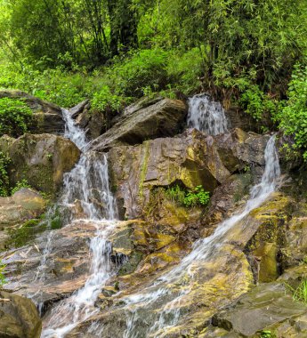 Ormanda şelale şelalesi tropikal yağmur ormanları dağ nehir hareketi bulanıklığı