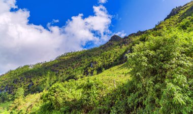 manzara terasları yeşil çimenler mavi gökyüzü bulutu Sapa, Kuzey Vietnam.