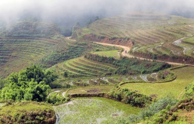 Vietnam 'ın Lao Cai eyaletindeki Sapa Vadisi manzarası popüler bir turizm merkezidir.