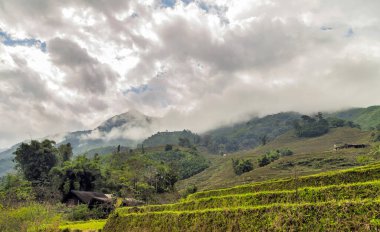 Pirinç tarlaları, Sapa dağlarındaki buğday tarlası manzaralı köye panoramik açıdan bakıyor.