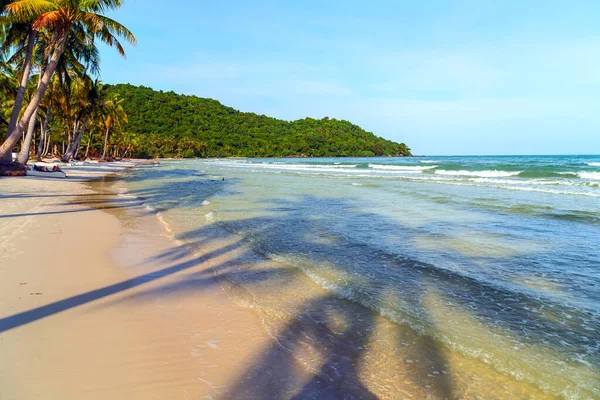 Plage Tropicale Coucher Soleil Ombres Cocotiers Ciel Bleu Mer — Photo